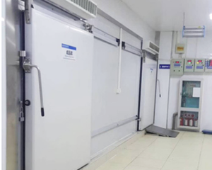 淮安小型冷库建造厂家